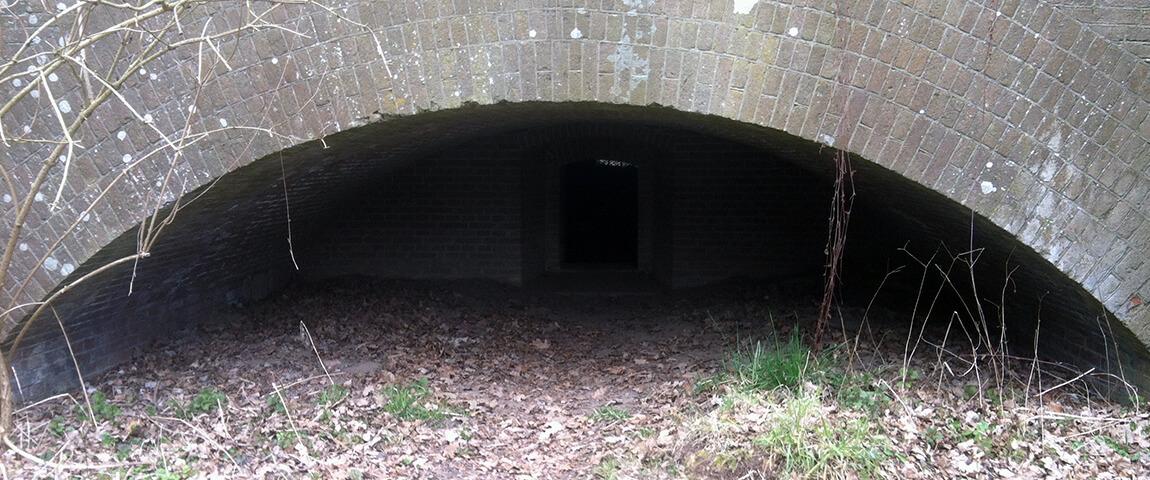 Een foto van een bos waar de bunker zit